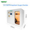 Y1200 Single Seat Luxury 1.3-1.5ATA Hyperbaric Oxygen Chamber for Oxygen Therapy