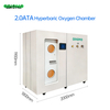W1800 Two Sitters Luxury 2.0ATA Hyperbaric Oxygen Chamber for Rapid Recovery