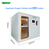 R1800M Hard Shell Two Sitters Hyperbaric Chamber HBOT with BIBS System for Health Care