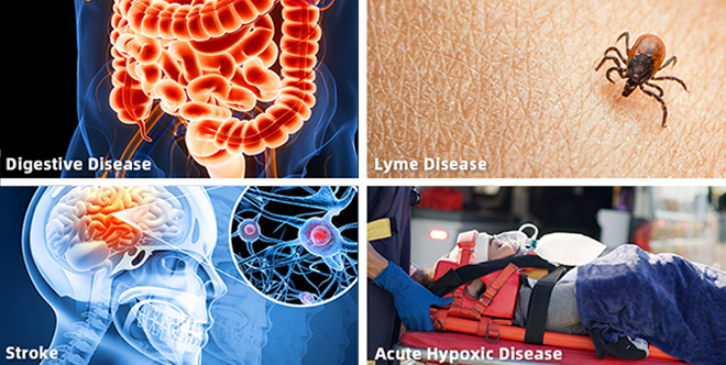 Adjuvant Treatment For some Disease​​​​​​​s