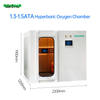 P1200 1-Person High Quality Health Care Hyperbaric Oxygen Hard Shell Chamber for Adults